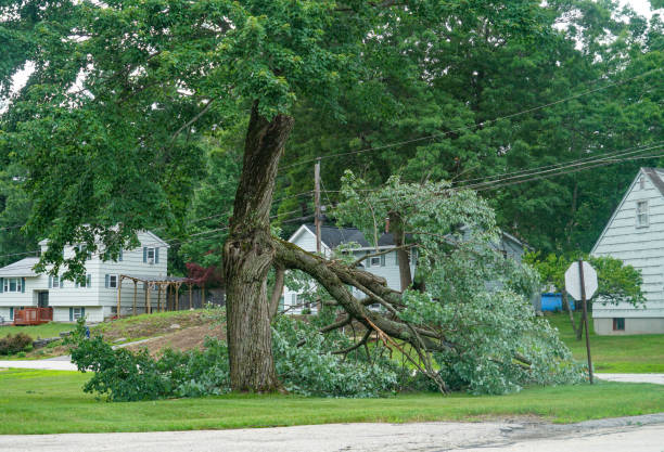 Trainer, PA Tree Care  Company